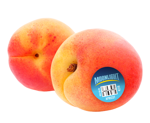 Moonlight Apricots