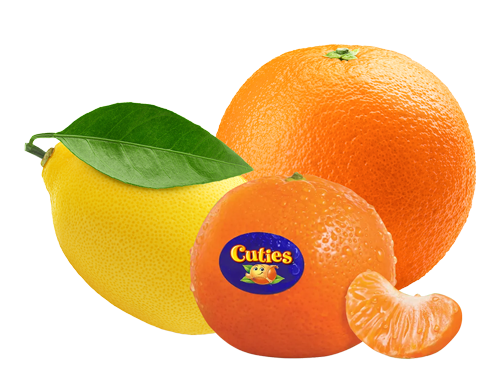 Moonlight Citrus & Cuties