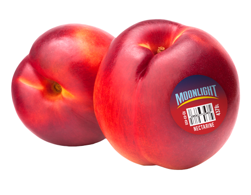 Moonlight Nectarines