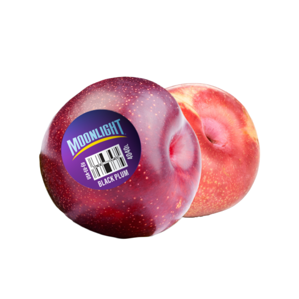 Moonlight Plums