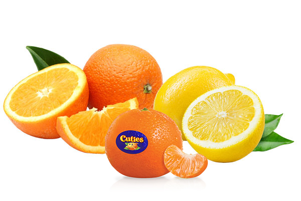 Moonlight citrus and Cuties
