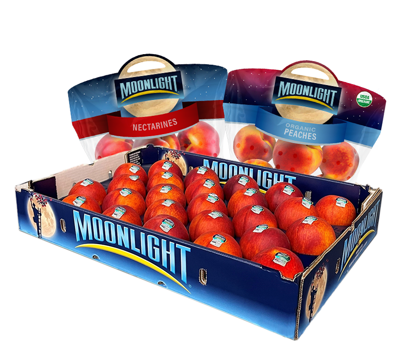 Moonlight fruit lineup